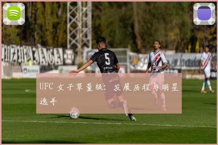 UFC 女子草量级：发展历程与明星选手